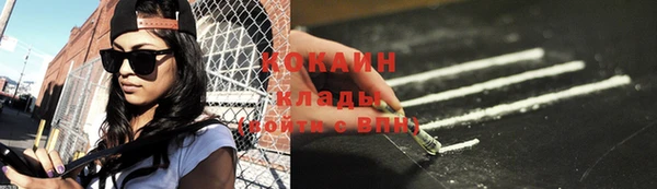 мдпв Каменногорск