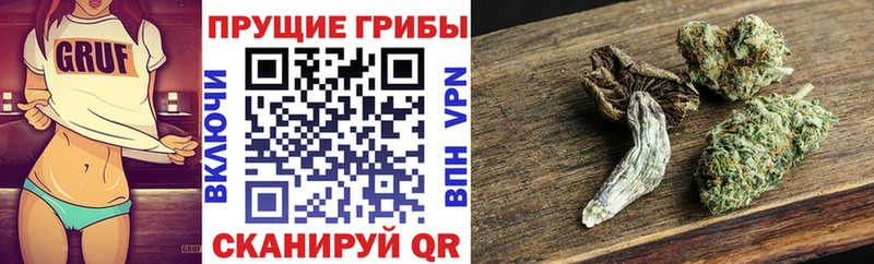 Галлюциногенные грибы MAGIC MUSHROOMS  купить  сайты  Лихославль 