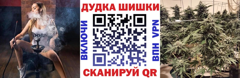 купить  сайты  Лихославль  Шишки марихуана план 